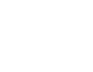 Lavender Fields