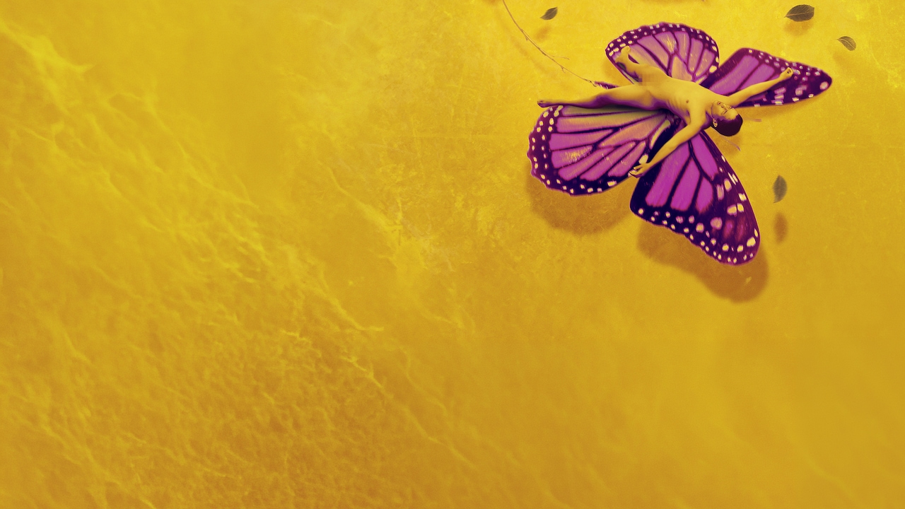 Metamorphosis